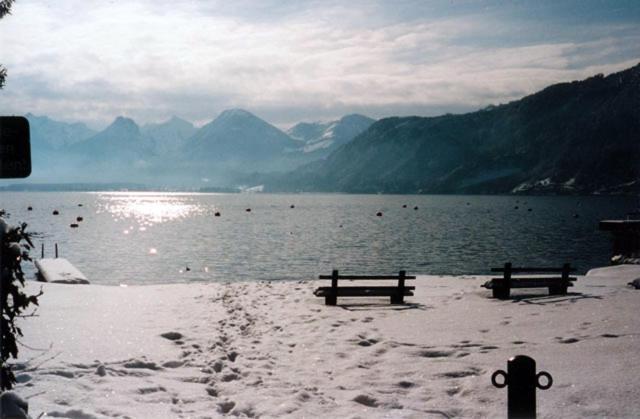 Sonnwirtstoeckl Am See 圣吉尔根 外观 照片